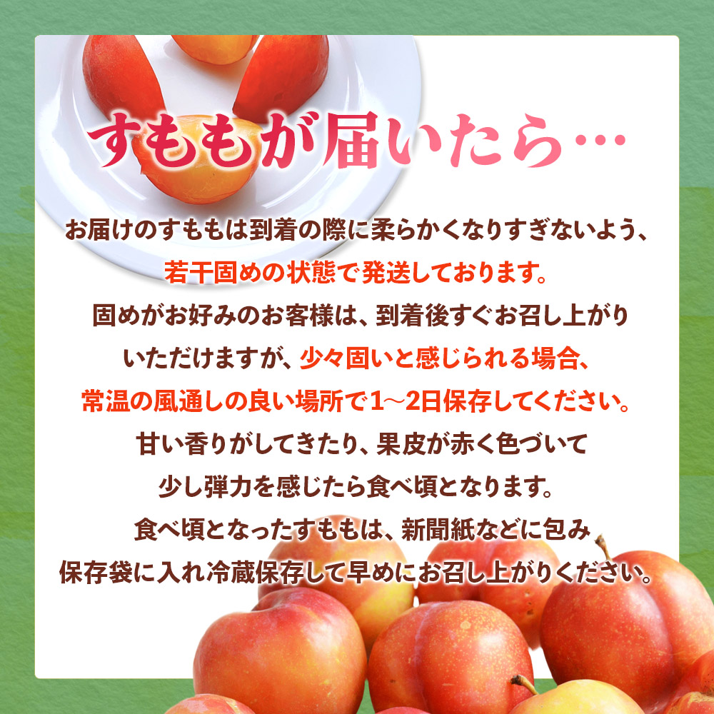 ä¹å·ã»çŠå²¡ãã«ãŒãçåœå
«å¥³ æ¬ã®ãã«ãŒãå®æäŸ¿ãå
š3åãB ïŒé
éäžå¯ïŒåæµ·éã»æ²çžã»é¢å³¶ïŒ ãã«ãŒã å®æäŸ¿ ããŸãã ã¿ãã ããã å£ç¯ã®ãã«ãŒã æç© ãããã ã»ãã ç£å°çŽé çŠå²¡ç å
«å¥³åž