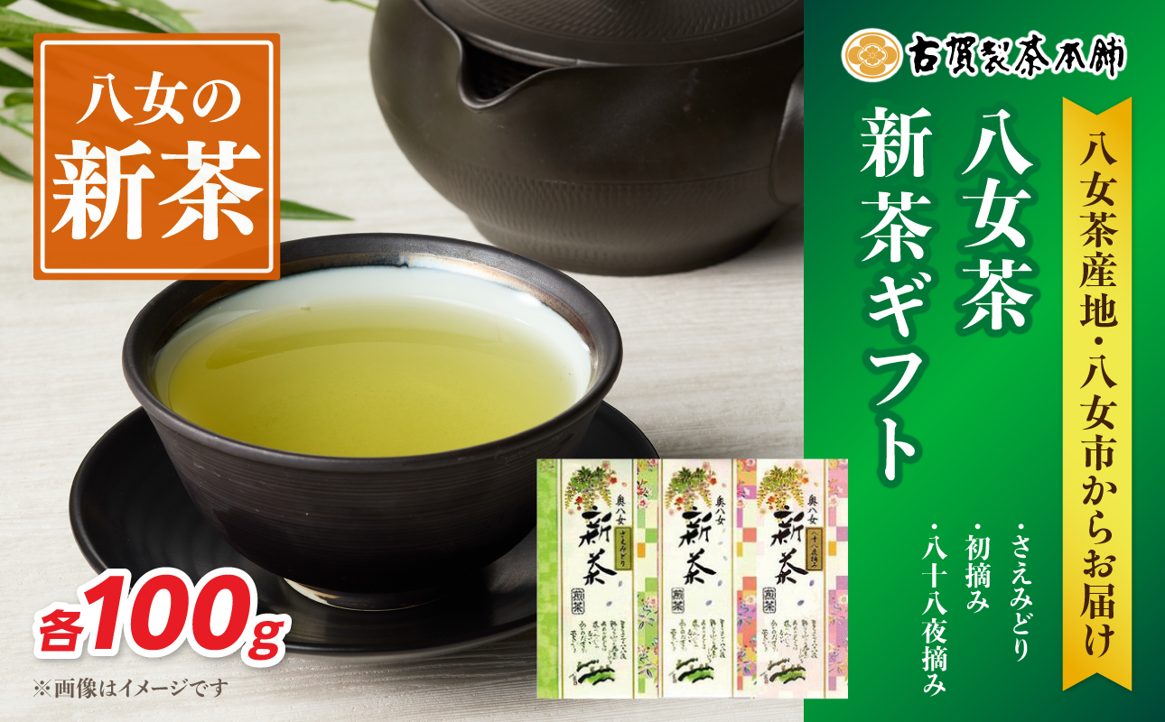 古賀製茶本舗 八女茶新茶 ギフトセット【2026年5月以降発送】 八媛みどり さえみどり 初摘み 八十八夜摘み 日本茶 お茶 緑茶 新茶 福岡県 八女市