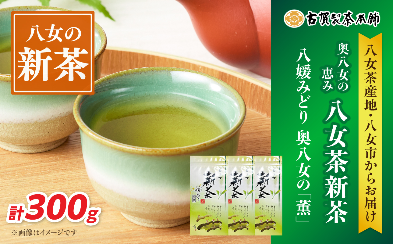 【八女の日】古賀製茶本舗 奥八女の「薫」八媛みどり 新茶100g×3袋【2026年5月以降発送】 煎茶 お茶 八女茶 新茶 高級 福岡県 八女市