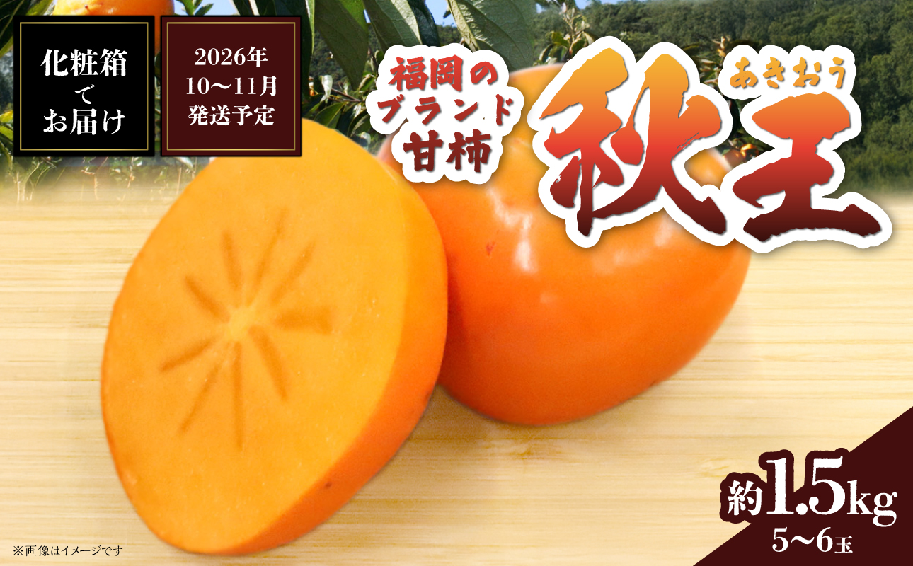 秋の贅沢、濃厚であま～い柿の新ブランド「秋王」約1.5kg(5～6玉入り) ＜配送不可：北海道・沖縄・離島＞ 柿 フルーツ 秋の味覚 濃厚 サクサク 大玉 福岡県 八女市