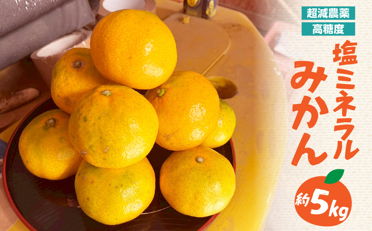 【超減農薬・高糖度】塩ミネラルみかん 約5kg ＜配送不可：北海道・沖縄・離島＞ みかん ミカン 蜜柑 フルーツ 美味しい 超減農薬 福岡県 八女市