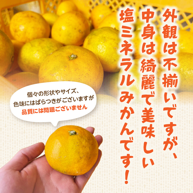 ãè¶
æžèŸ²è¬ã»é«ç³åºŠãå¡©ããã©ã«ã¿ãã çŽ5kg ïŒé
éäžå¯ïŒåæµ·éã»æ²çžã»é¢å³¶ïŒ ã¿ãã ãã«ã³ èæ ãã«ãŒã çŸå³ãã è¶
æžèŸ²è¬ çŠå²¡ç å
«å¥³åž