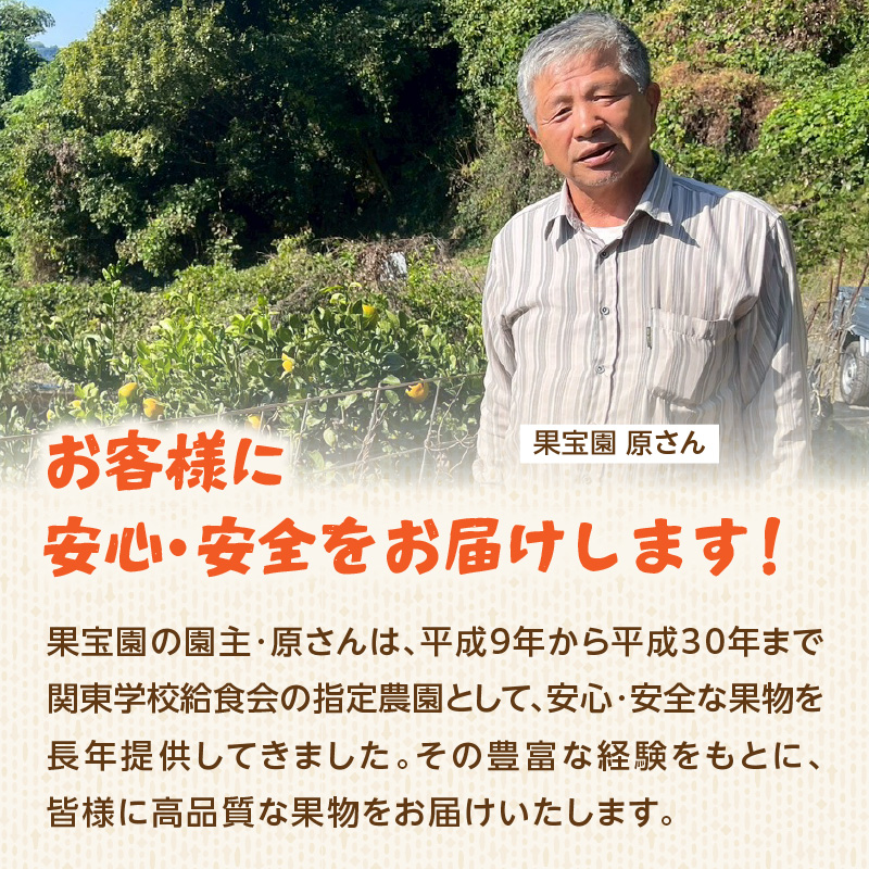 ãè¶
æžèŸ²è¬ã»é«ç³åºŠãå¡©ããã©ã«ã¿ãã çŽ5kg ïŒé
éäžå¯ïŒåæµ·éã»æ²çžã»é¢å³¶ïŒ ã¿ãã ãã«ã³ èæ ãã«ãŒã çŸå³ãã è¶
æžèŸ²è¬ çŠå²¡ç å
«å¥³åž