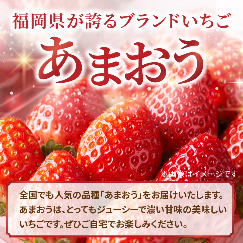 【2026年3月配送開始】福岡・博多名物ブランドいちご「あまおう」 6パック 合計約1,620g ＜配送不可：北海道・沖縄・離島＞ あまおう いちご 苺 イチゴ フルーツ 果物 くだもの 人気 旬 福岡県産 アフター補償 産地直送 冷蔵配送 福岡県 八女市