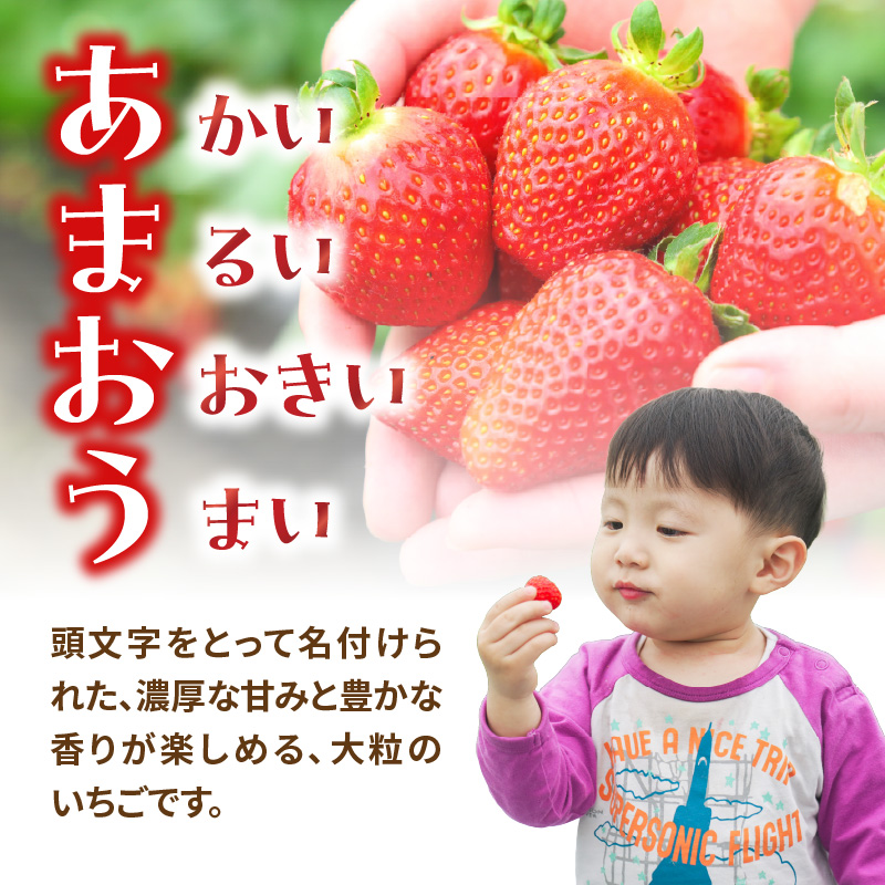 【2026年3月配送開始】福岡・博多名物ブランドいちご「あまおう」 6パック 合計約1,620g ＜配送不可：北海道・沖縄・離島＞ あまおう いちご 苺 イチゴ フルーツ 果物 くだもの 人気 旬 福岡県産 アフター補償 産地直送 冷蔵配送 福岡県 八女市