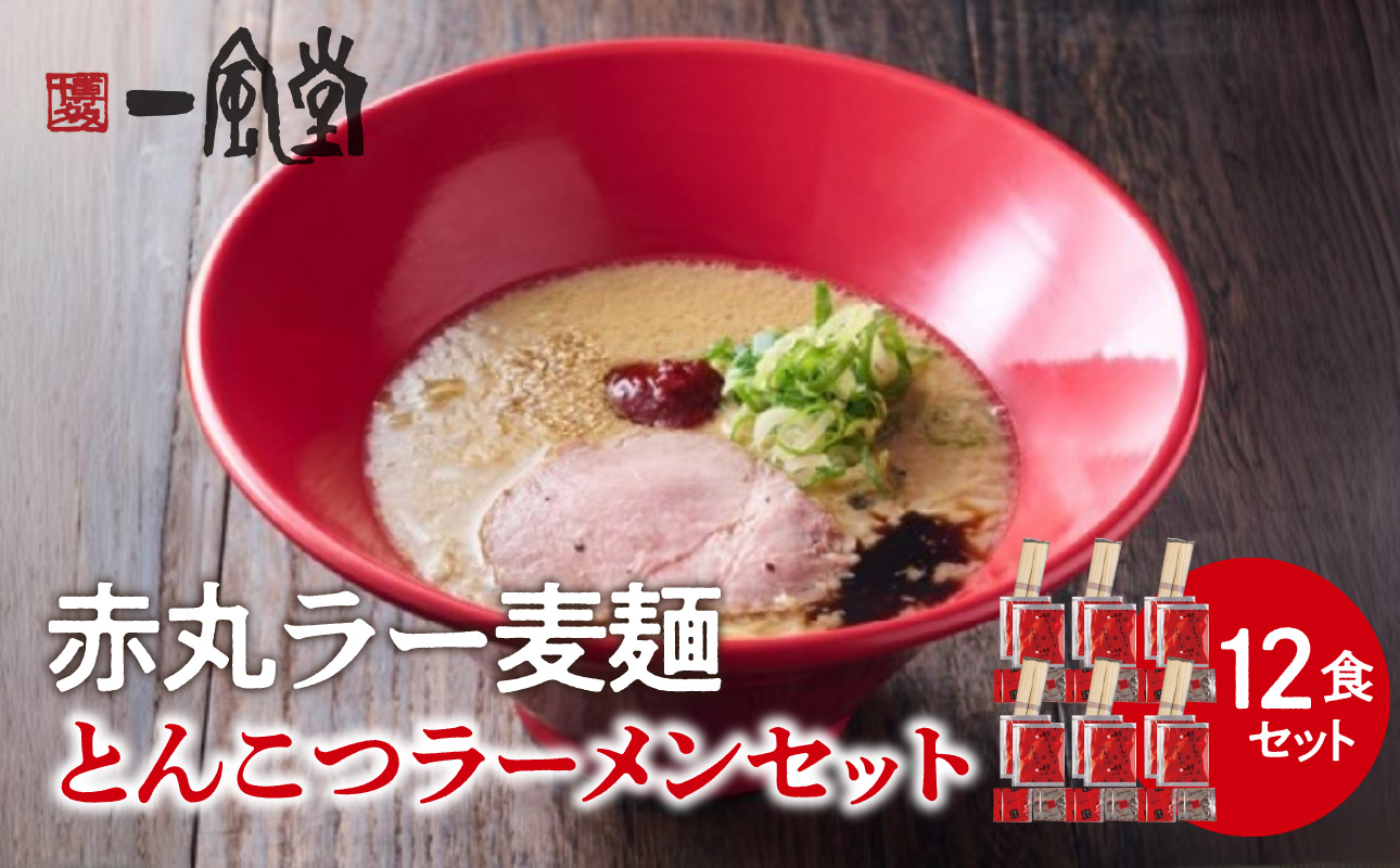 【豚骨ラーメンセット】一風堂博多とんこつラーメン赤丸新味（12人前） 博多 豚骨ラーメン 12人前 濃厚 辛味噌 麺 一風堂 ご当地ラーメン 福岡県 八女市