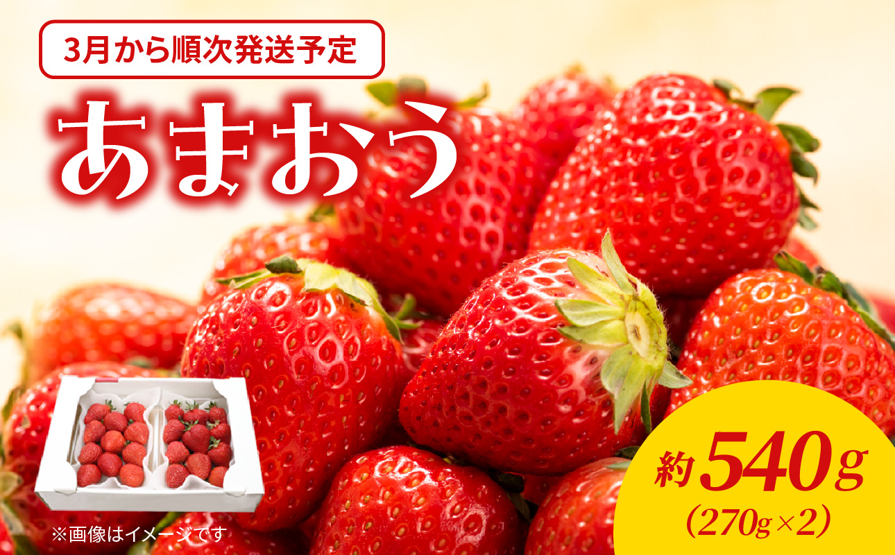 【2026年3月配送開始】福岡・博多名物ブランドいちご「あまおう」 2パック 合計約540g ＜配送不可：北海道・沖縄・離島＞ あまおう いちご 苺 イチゴ フルーツ 果物 くだもの 人気 旬 福岡県産 アフター補償 産地直送 冷蔵配送 福岡県 八女市