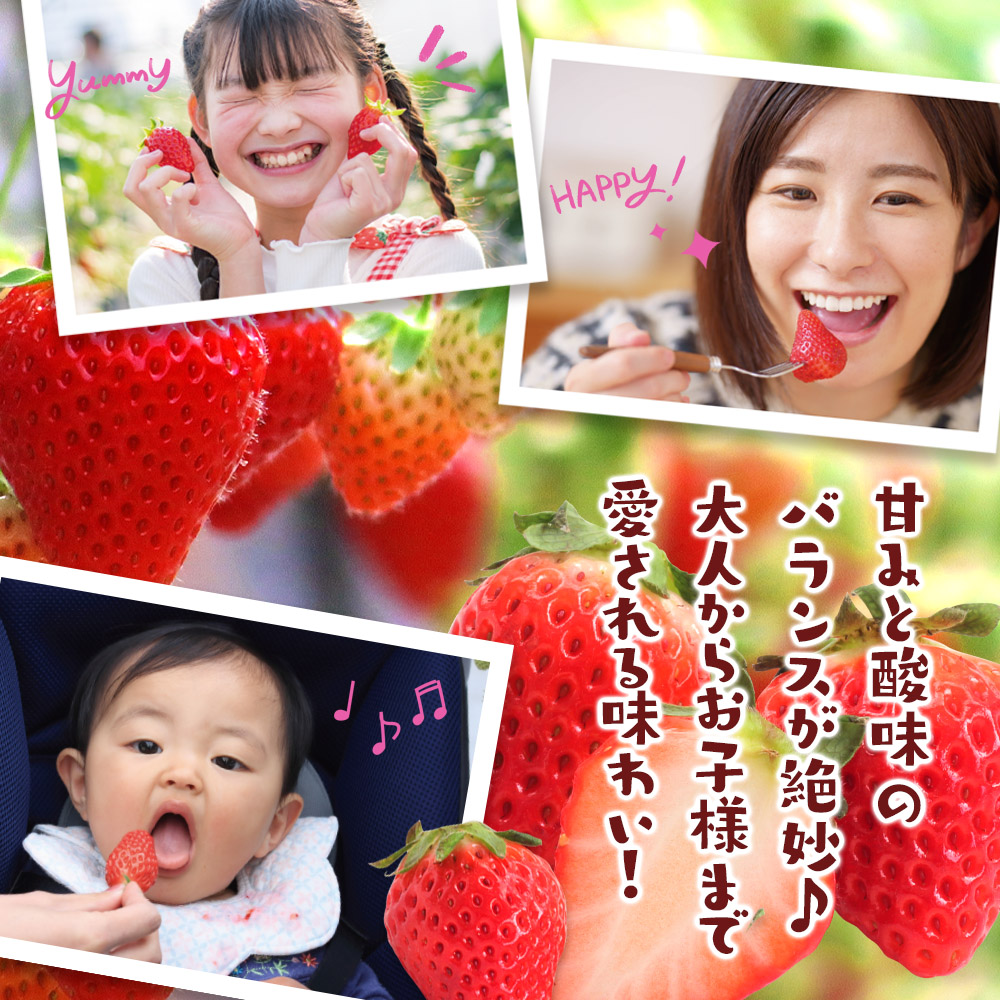 【2026年3月配送開始】福岡・博多名物ブランドいちご「あまおう」 6パック 合計約1,620g ＜配送不可：北海道・沖縄・離島＞ あまおう いちご 苺 イチゴ フルーツ 果物 くだもの 人気 旬 福岡県産 アフター補償 産地直送 冷蔵配送 福岡県 八女市