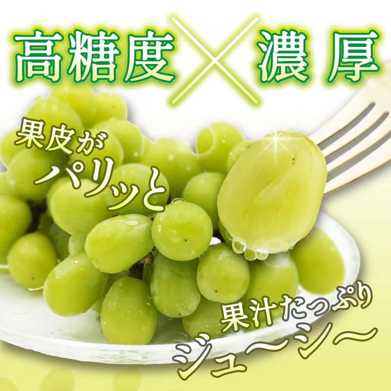 ãå
è¡åä»ãã2026幎çºéãä¹å·çŠå²¡ãã«ãŒãçåœå
«å¥³ 倧ç²å
¥ãã·ã£ã€ã³ãã¹ã«ãã çŽ1.4kgãæ°ééå®ãïŒé
éäžå¯ïŒåæµ·éã»æ²çžã»é¢å³¶ïŒ æ°ééå® çŽ1.4kg é«ç³åºŠ å€§ç² å³éž æç© ãã ãã® ãã«ãŒã ã¶ã©ã è¡è ãžã¥ãŒã·ãŒ çš®ãªã å·èµ ä¹å· çŠå²¡ç å
«å¥³åž