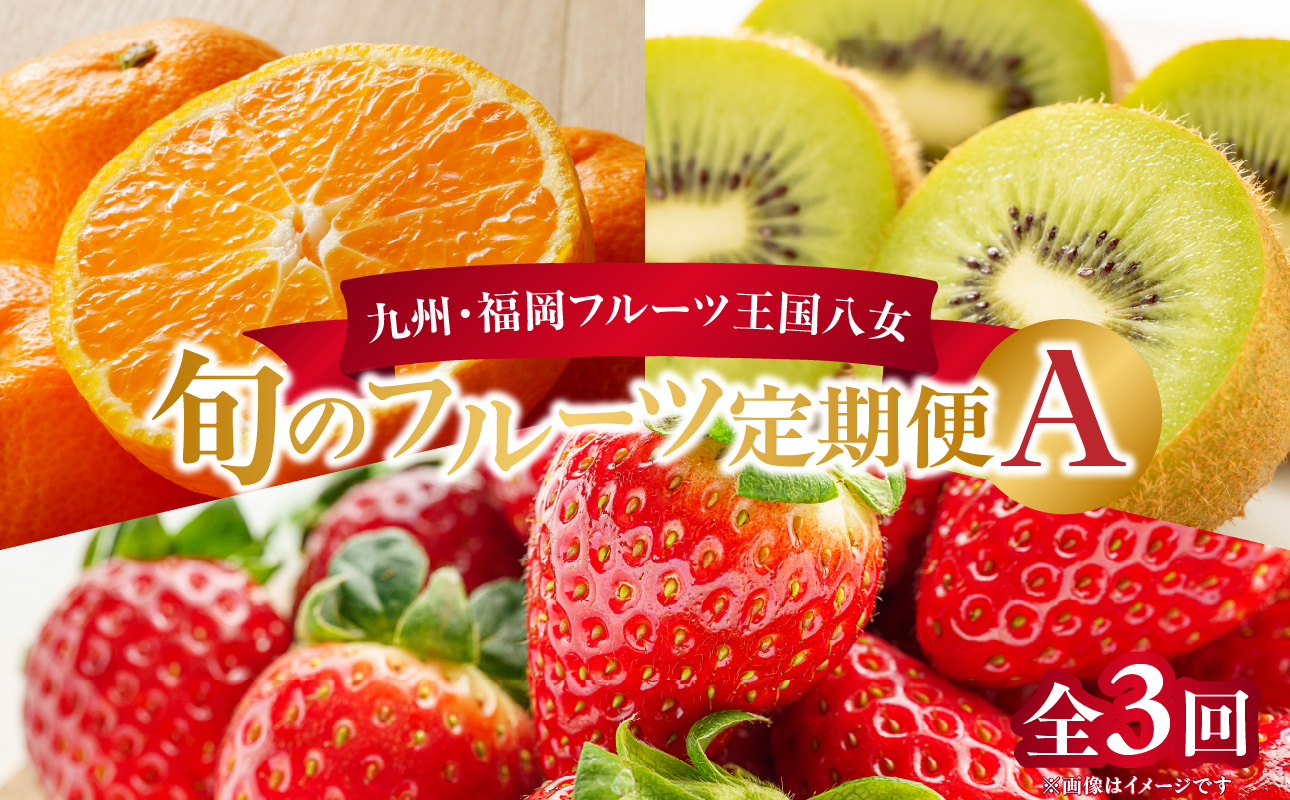 九州・福岡フルーツ王国八女　旬のフルーツ定期便【全３回】 A｜＜配送不可：北海道・沖縄・離島＞