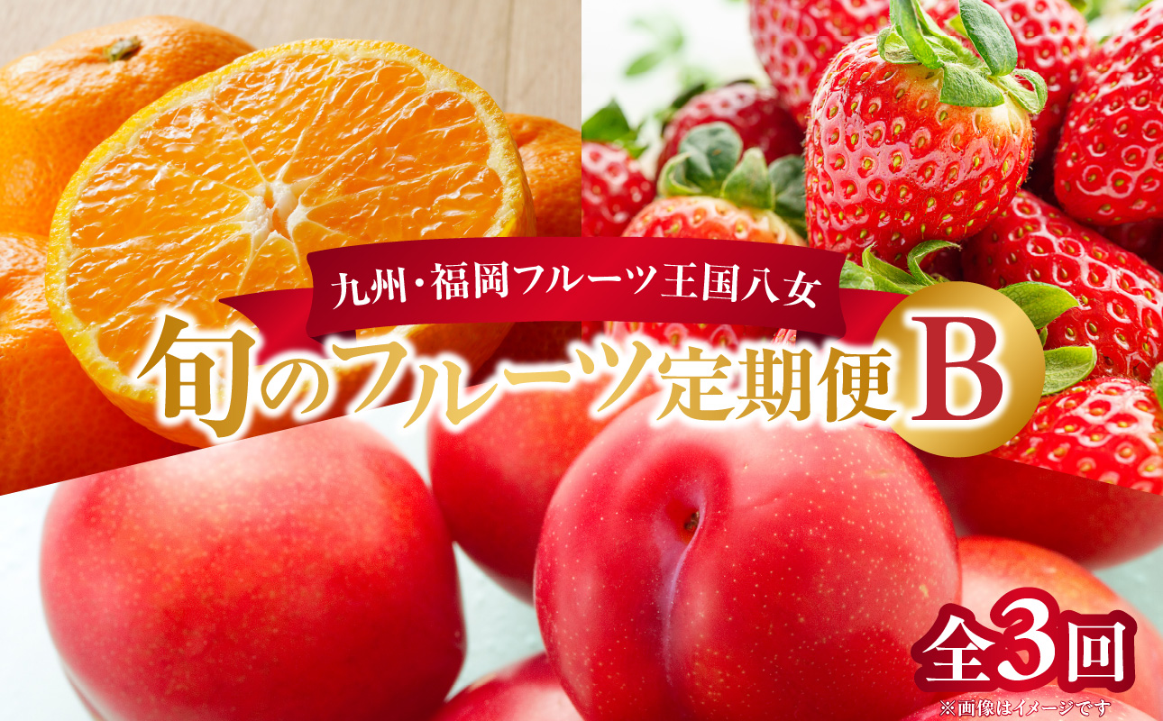 九州・福岡フルーツ王国八女　旬のフルーツ定期便【全３回】 B｜＜配送不可：北海道・沖縄・離島＞