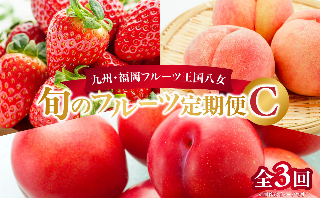 九州・福岡フルーツ王国八女　旬のフルーツ定期便【全３回】 C｜＜配送不可：北海道・沖縄・離島＞ あまおう いちご 苺イチゴ もも 桃 すもも 果物 フルーツ 定期便 デザート 旬 もぎたて 直送 福岡 八女市