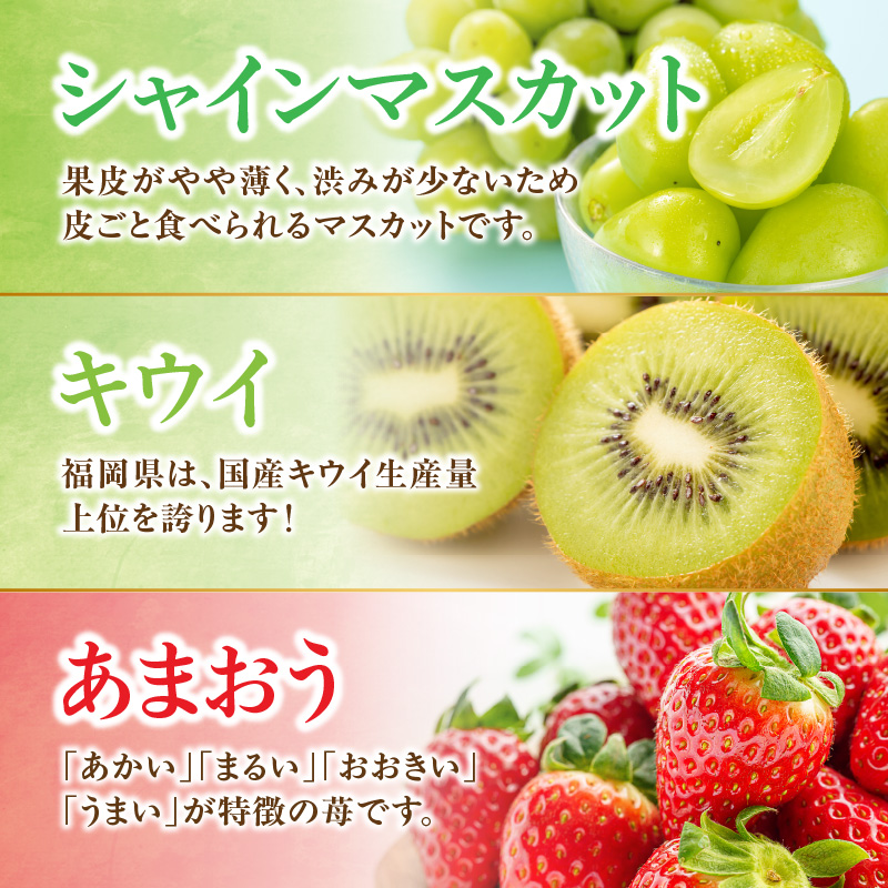 ä¹å·ã»çŠå²¡ãã«ãŒãçåœå
«å¥³ããæ¥œãã¿æ¬ã®ãã«ãŒãå®æäŸ¿ãå
šïŒåã EïœïŒé
éäžå¯ïŒåæµ·éã»æ²çžã»é¢å³¶ïŒ