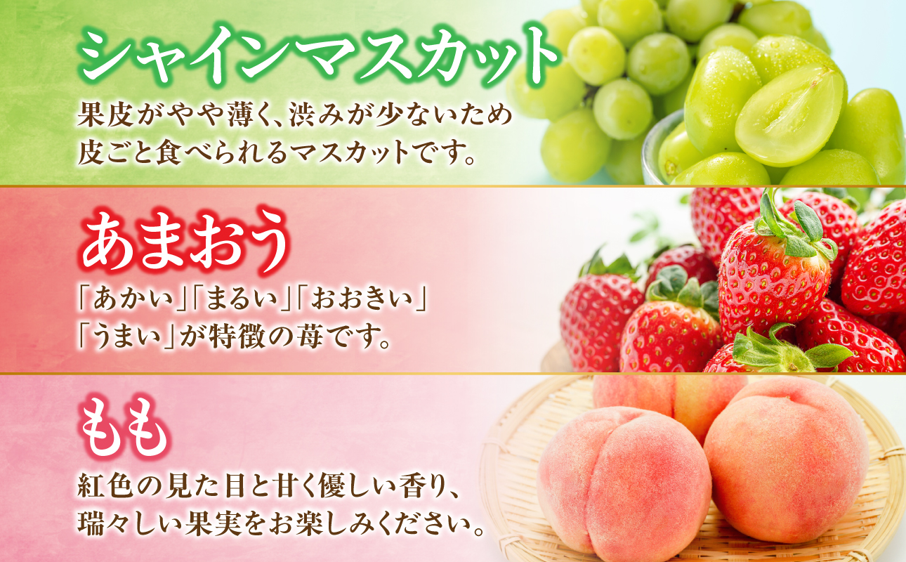 九州・福岡フルーツ王国八女　お楽しみ旬のフルーツ定期便【全３回】 F｜＜配送不可：北海道・沖縄・離島＞ あまおう 苺 いちご イチゴ シャインマスカット ぶどう もも 桃 モモ 果物 くだもの フルーツ 定期便 デザート 旬 もぎたて 直送 福岡 八女市