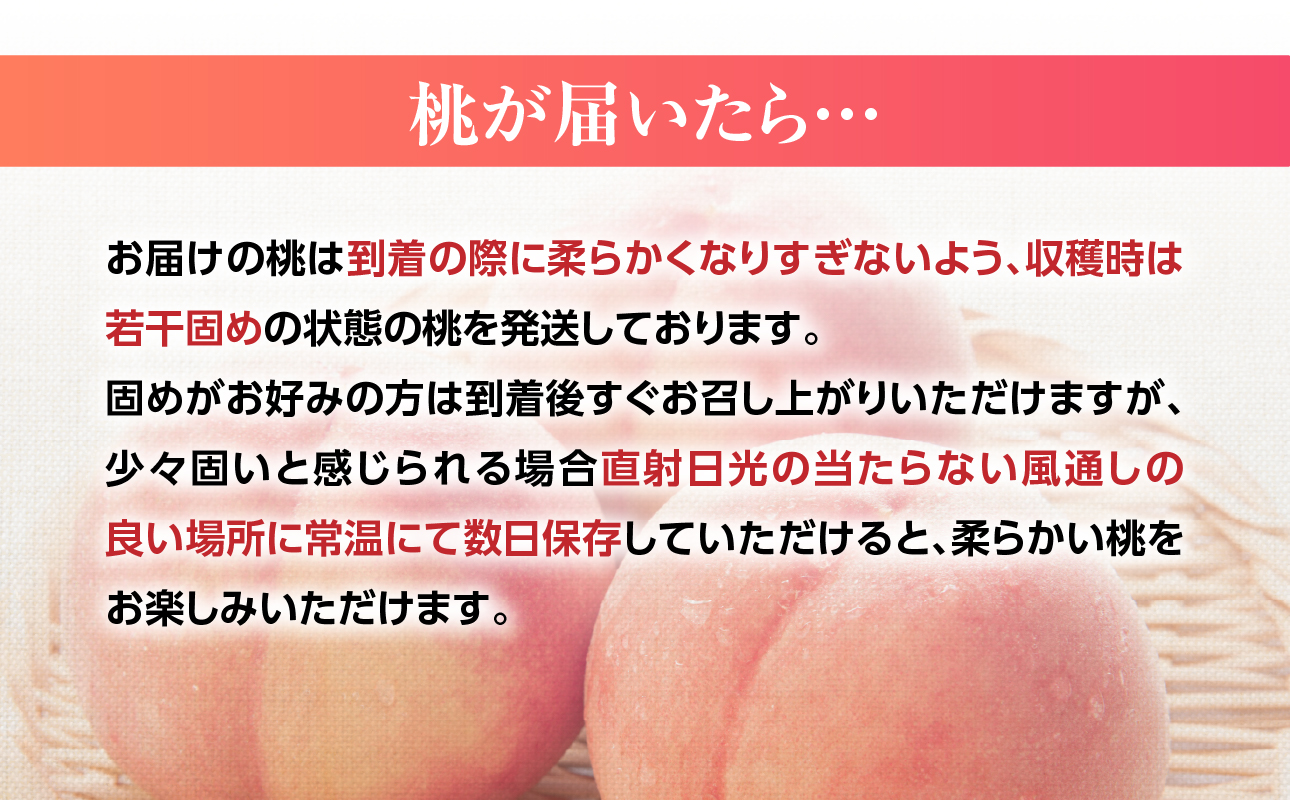 九州・福岡フルーツ王国八女　お楽しみ旬のフルーツ定期便【全３回】 F｜＜配送不可：北海道・沖縄・離島＞ あまおう 苺 いちご イチゴ シャインマスカット ぶどう もも 桃 モモ 果物 くだもの フルーツ 定期便 デザート 旬 もぎたて 直送 福岡 八女市