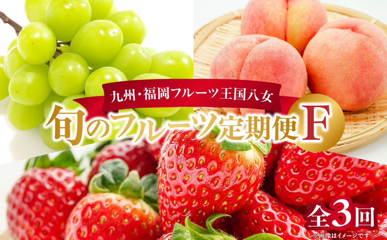 九州・福岡フルーツ王国八女　お楽しみ旬のフルーツ定期便【全３回】 F｜＜配送不可：北海道・沖縄・離島＞ あまおう 苺 いちご イチゴ シャインマスカット ぶどう もも 桃 モモ 果物 くだもの フルーツ 定期便 デザート 旬 もぎたて 直送 福岡 八女市