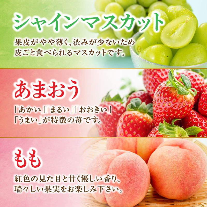 九州・福岡フルーツ王国八女 旬のフルーツ定期便【全3回】F ＜配送不可：北海道・沖縄・離島＞ フルーツ 定期便 あまおう シャインマスカット もも 季節のフルーツ 果物 おすすめ セット 産地直送 福岡県 八女市