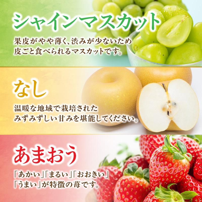 ä¹å·ã»çŠå²¡ãã«ãŒãçåœå
«å¥³ããæ¥œãã¿æ¬ã®ãã«ãŒãå®æäŸ¿ãå
šïŒåãïœïŒé
éäžå¯ïŒåæµ·éã»æ²çžã»é¢å³¶ïŒãããŸãã ã·ã£ã€ã³ãã¹ã«ãã æ¢š ãã¡ã èº ãªã æç© å
è¡äºçŽ