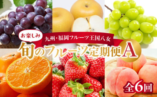 九州・福岡フルーツ王国八女 お楽しみ旬のフルーツ定期便【全6回】A ＜配送不可：北海道・沖縄・離島＞ フルーツ 定期便 あまおう もも ぶどう 梨 シャインマスカット みかん 季節のフルーツ 果物 おすすめ セット 産地直送 福岡県 八女市