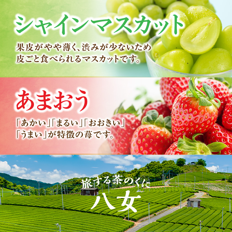 九州・福岡フルーツ王国八女 お試し旬のフルーツ定期便【全2回】B ＜配送不可：北海道・沖縄・離島＞ フルーツ 定期便 あまおう シャインマスカット 季節のフルーツ 果物 おすすめ セット 産地直送 福岡県 八女市