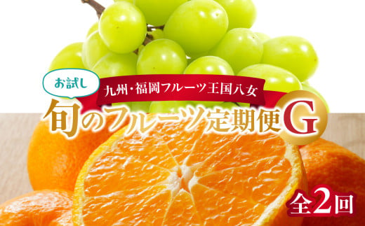 九州・福岡フルーツ王国八女 お試し旬のフルーツ定期便【全2回】G＜配送不可：北海道・沖縄・離島＞ フルーツ 定期便 ぶどう シャインマスカット みかん 蜜柑 果物 福岡県 八女市