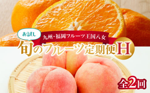 九州・福岡フルーツ王国八女 お試し旬のフルーツ定期便【全2回】H＜配送不可：北海道・沖縄・離島＞ フルーツ 定期便 もも 桃 みかん 蜜柑 果物 福岡県 八女市