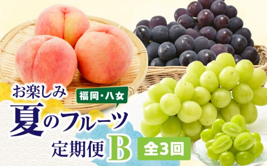 福岡八女 お楽しみ夏のフルーツ定期便Ｂ ＜配送不可：北海道・沖縄・離島＞ フルーツ 定期便 ぶどう もも シャインマスカット 季節のフルーツ 果物 おすすめ セット 産地直送 福岡県 八女市