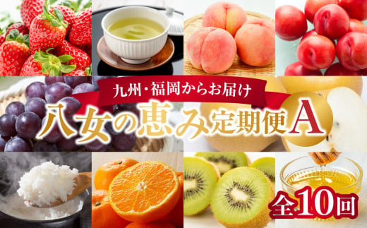九州･福岡からお届け！八女の恵み定期便【全10回】A ＜配送不可：北海道・沖縄・離島＞ フルーツ 定期便 もも すもも ぶどう 梨 みかん キウイ 米 はちみつ 茶 果物 おすすめ セット 産地直送 福岡県 八女市