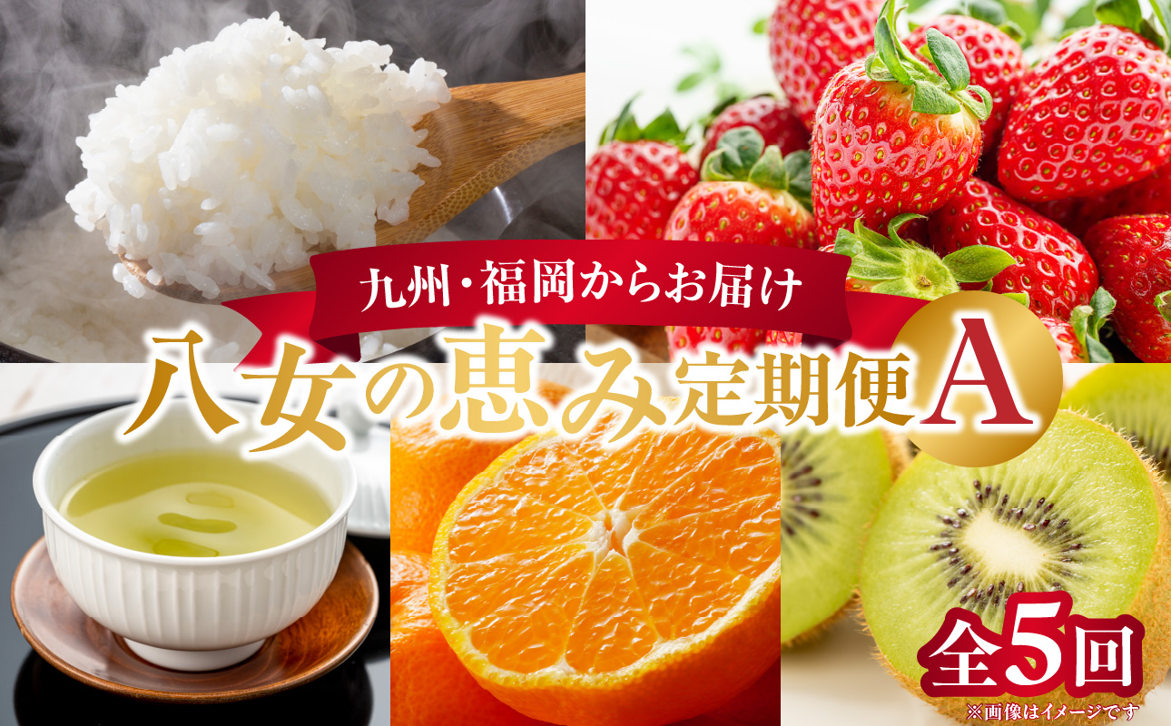 九州･福岡からお届け！八女の恵み定期便【全5回】A ＜配送不可：北海道・沖縄・離島＞ フルーツ 定期便 米 あまおう 茶 みかん キウイ 果物 おすすめ セット 産地直送 福岡県 八女市