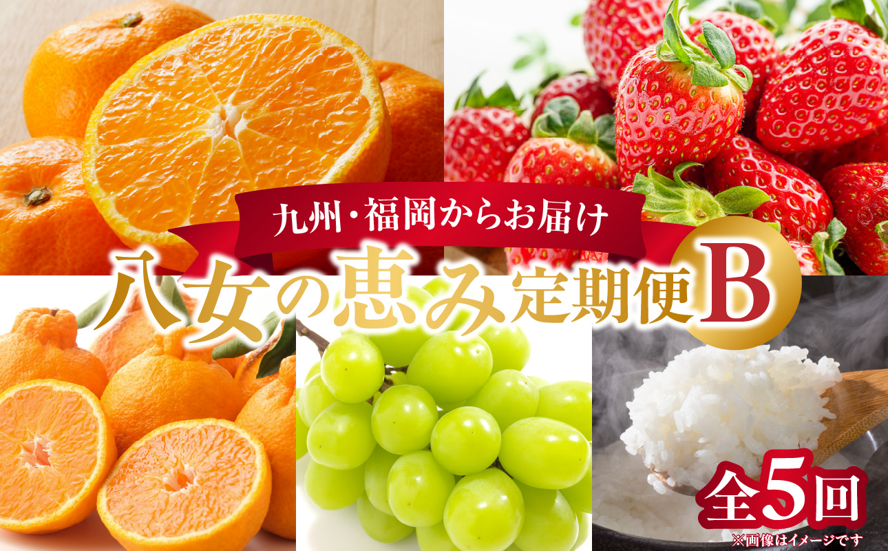 九州･福岡からお届け！八女の恵み定期便【全5回】B ＜配送不可：北海道・沖縄・離島＞ フルーツ 定期便 あまおう みかん 不知火 シャインマスカット 果物 おすすめ セット 産地直送 福岡県 八女市