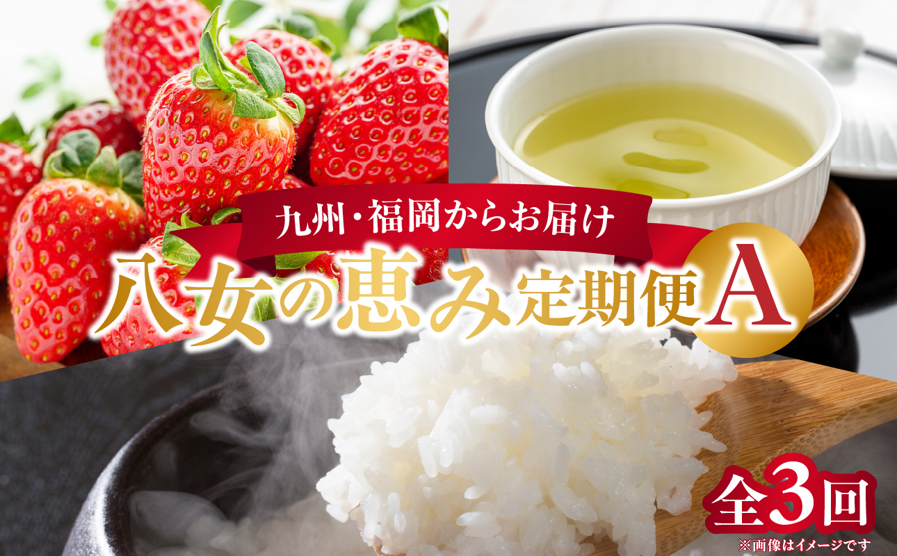 九州･福岡からお届け！八女の恵み定期便【全3回】A ＜配送不可：北海道・沖縄・離島＞ フルーツ 定期便 あまおう お茶 お米 果物 おすすめ セット 産地直送 福岡県 八女市
