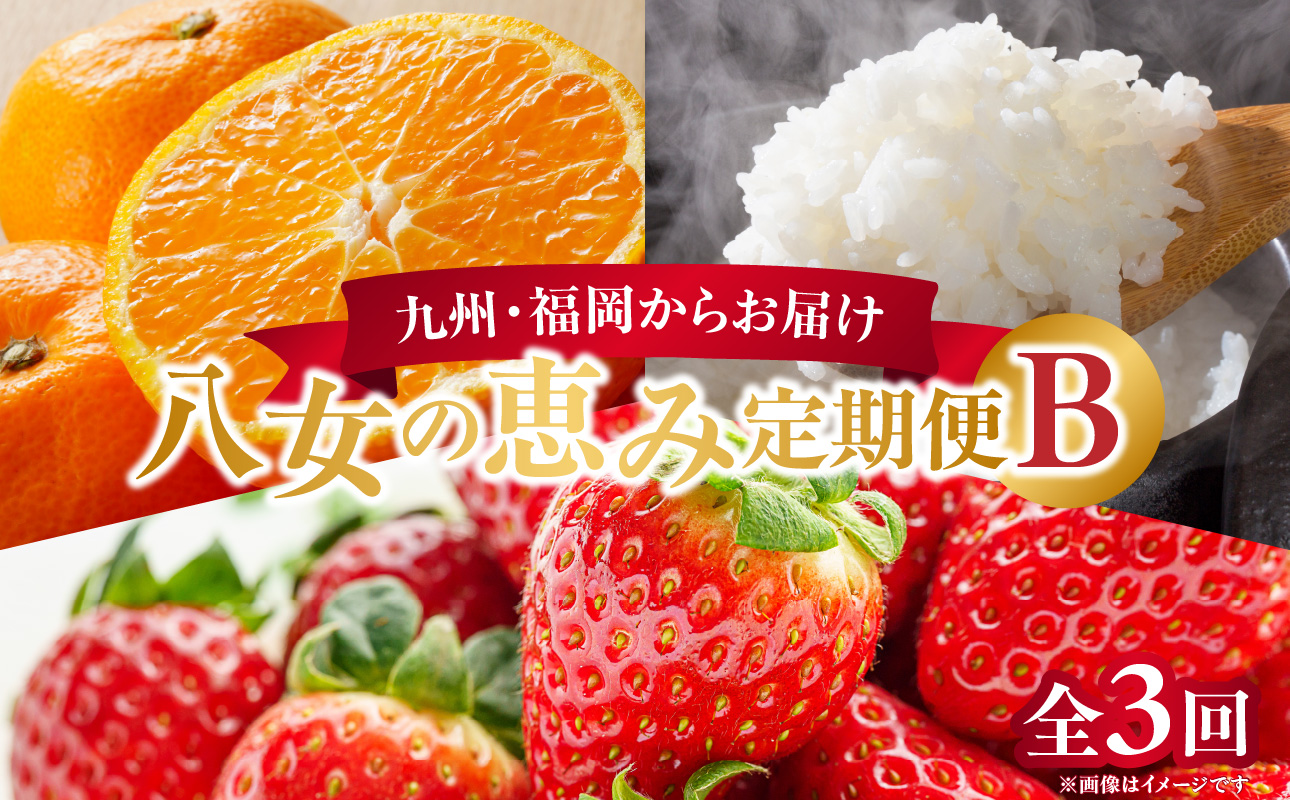 九州･福岡からお届け！八女の恵み定期便【全3回】B ＜配送不可：北海道・沖縄・離島＞ フルーツ 定期便 あまおう みかん お米 果物 おすすめ セット 産地直送 福岡県 八女市