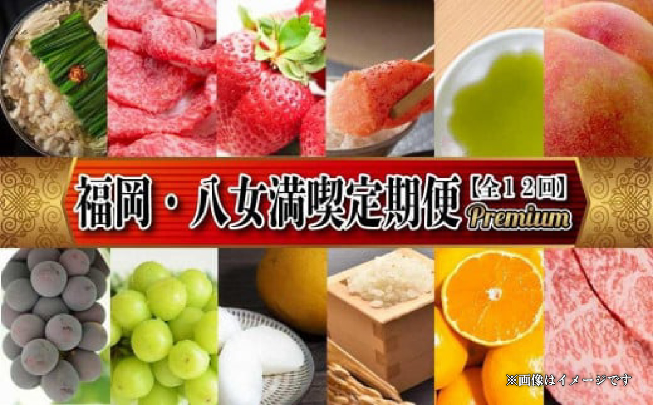 福岡・八女満喫定期便 プレミアム全12回 A ＜配送不可：北海道・沖縄・離島＞ フルーツ 定期便 福岡県 八女市