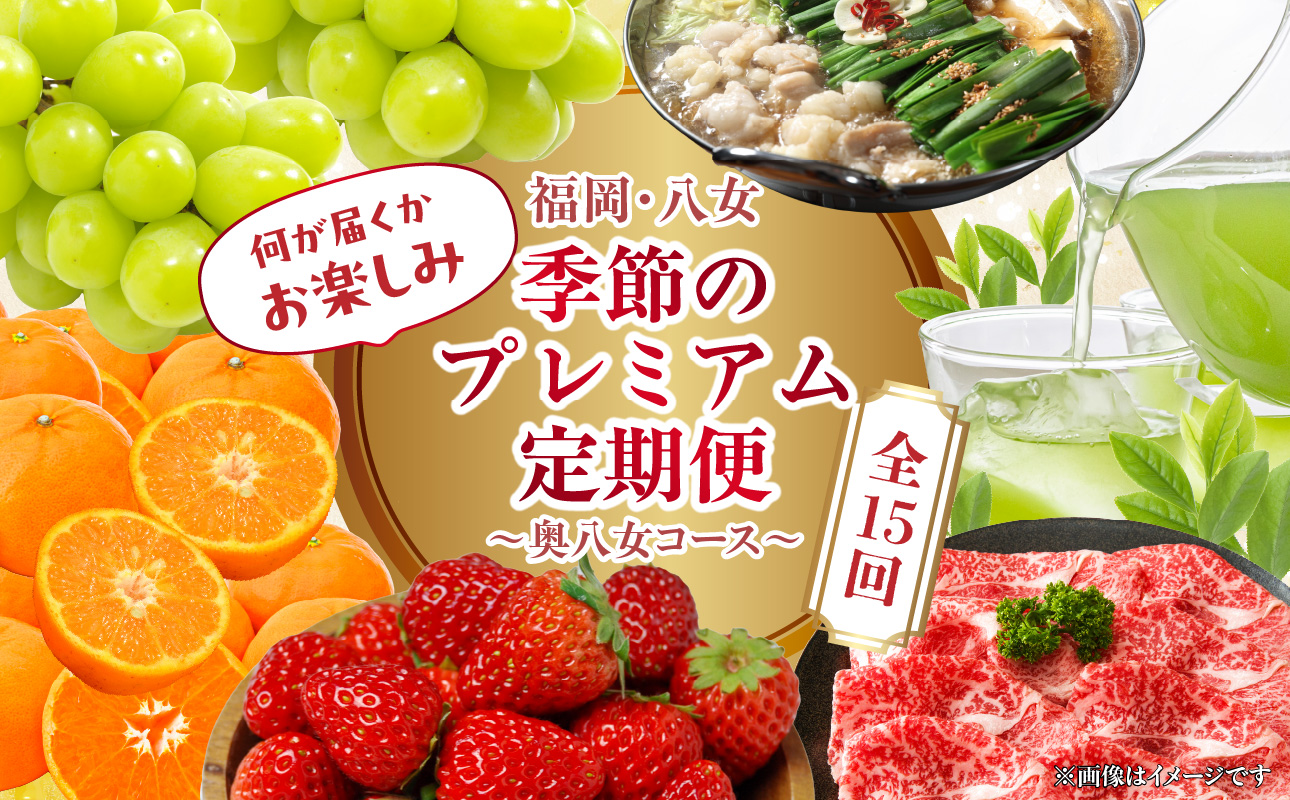 福岡・八女　季節のお楽しみプレミアム定期便【奥八女コース】全15回 肉 野菜 フルーツ 果物 九州 グルメ 食べ物 旬の味覚 いちご あまおう シャインマスカット もつ鍋 特産品 奥八女 八女 福岡 定期便