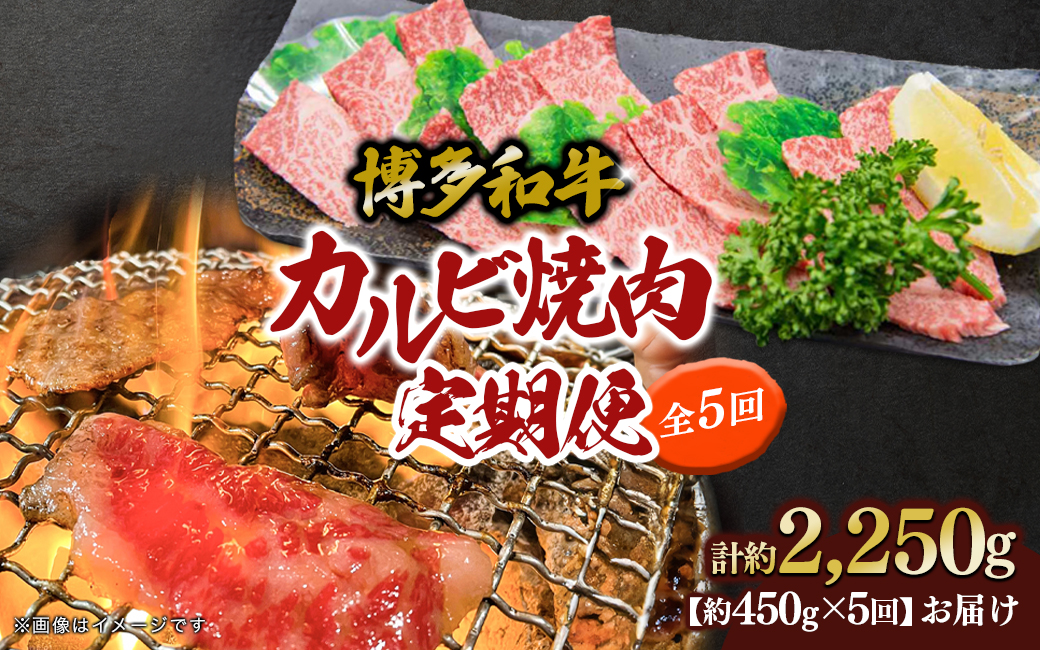 博多和牛 カルビ焼肉（バラ）定期便5回 肉 お肉 博多和牛 和牛 牛肉 カルビ バラ 国産 2～3人前 冷凍 冷凍配送 使い切りサイズ 霜降り 絶品 濃厚 柔らかい ジューシー 家族団らん カルビ丼 焼肉 バーベキュー BBQ 福岡県 八女市