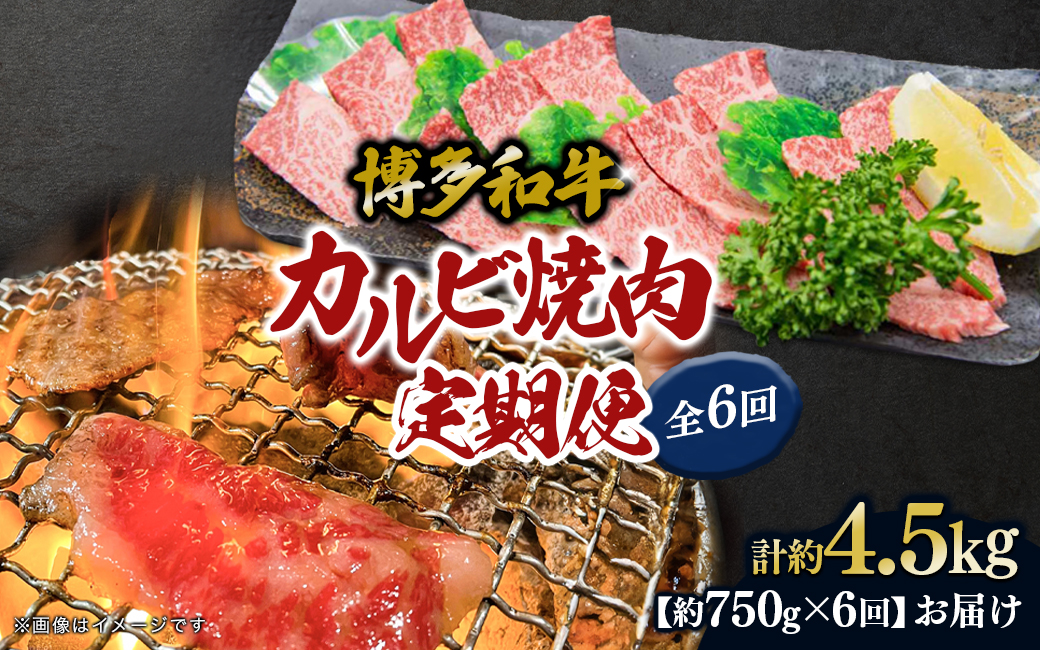 博多和牛 カルビ焼肉（バラ）定期便全6回 肉 お肉 焼肉 牛 牛肉 和牛 バーベキュー BBQ 焼肉