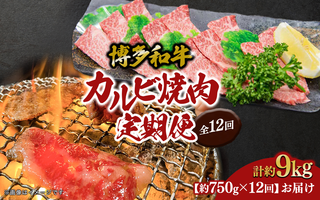 博多和牛 カルビ焼肉（バラ）定期便全12回 肉 お肉 焼肉 牛 牛肉 和牛 バーベキュー BBQ 焼肉