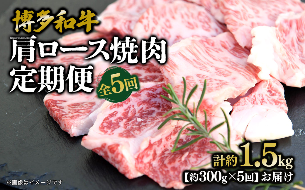 博多和牛 肩ロース焼肉 定期便全5回 肉 お肉 焼肉 牛 牛肉 和牛 バーベキュー BBQ 焼肉
