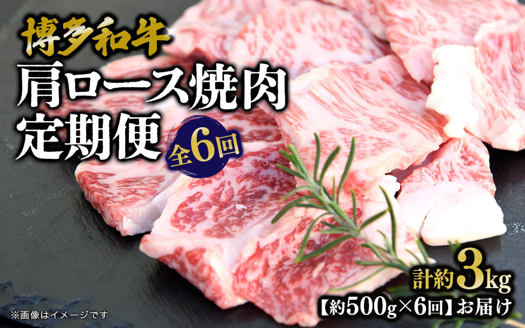 博多和牛 肩ロース焼肉 定期便全6回 肉 お肉 焼肉 牛 牛肉 和牛 バーベキュー BBQ
