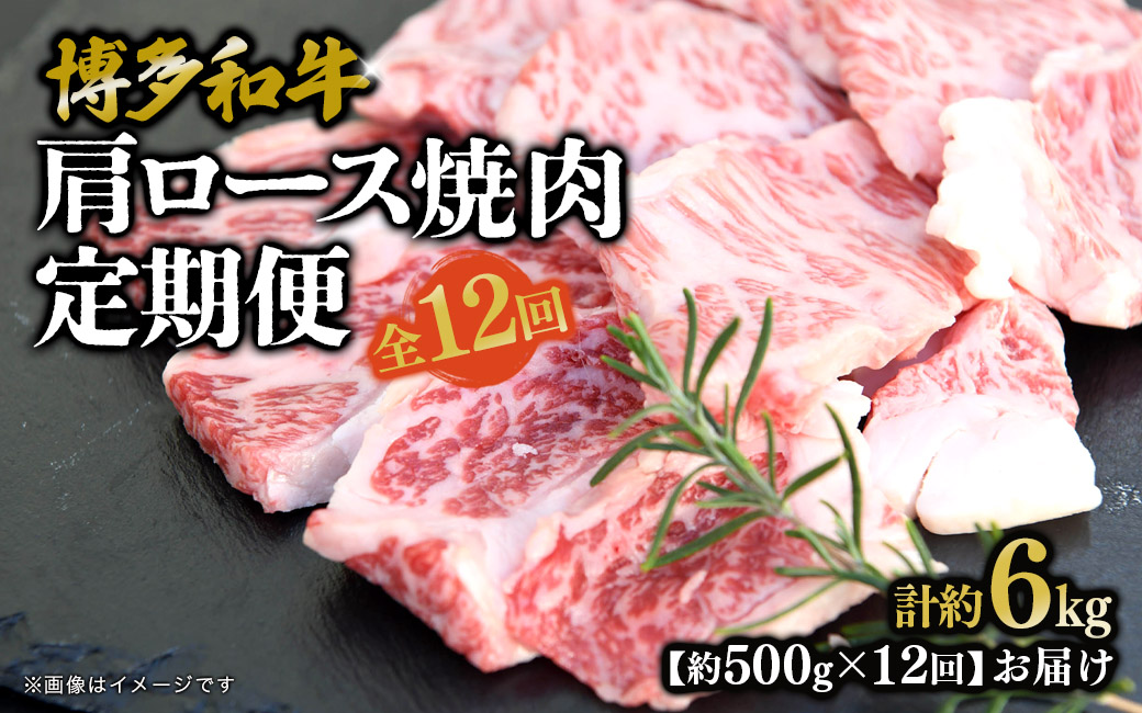 博多和牛 肩ロース焼肉 定期便全12回 肉 お肉 焼肉 牛 牛肉 和牛 バーベキュー BBQ