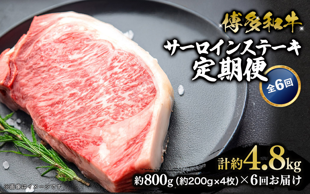 博多和牛 サーロインステーキ 定期便全6回 計約4.8kg 肉 お肉 和牛 牛 牛肉 焼肉 ステーキ バーベキュー BBQ 定期便 200g 4枚 800g 福岡県 八女市