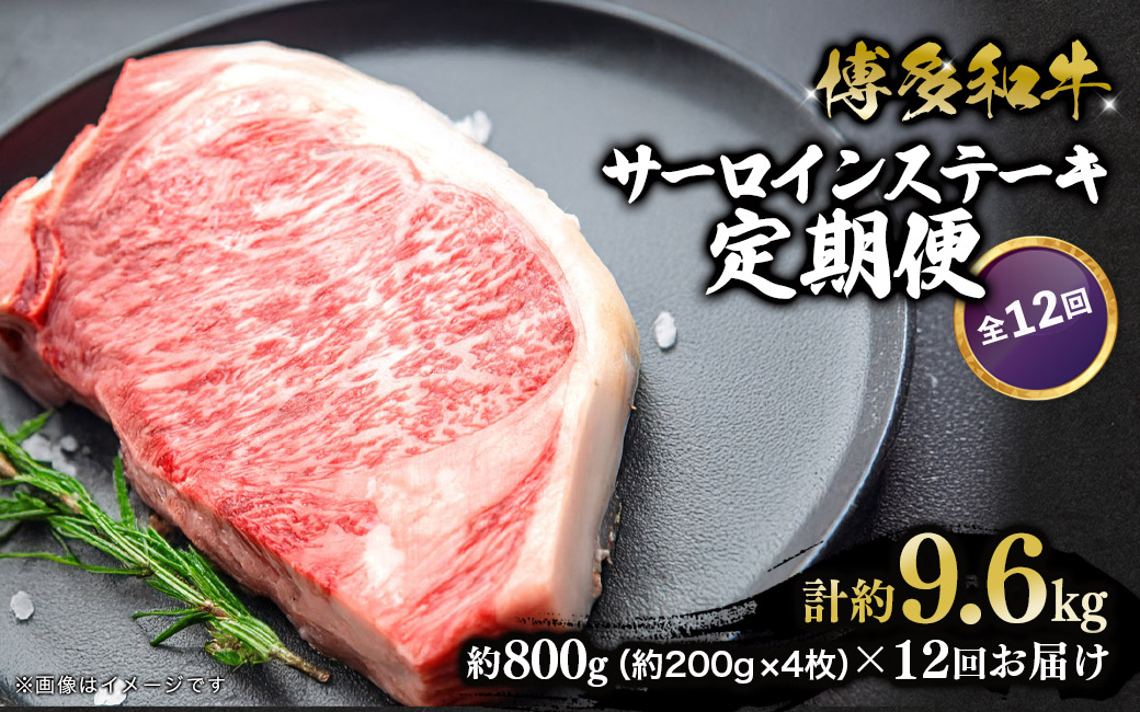 博多和牛 サーロインステーキ 定期便全12回 計約9.6kg 肉 お肉 和牛 牛 牛肉 焼肉 ステーキ バーベキュー BBQ 200g 4枚 800g 定期便 12回 福岡県 八女市