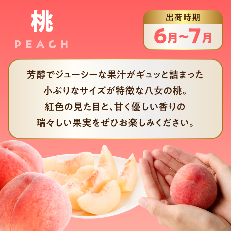 福岡八女 お楽しみ夏のフルーツ定期便Ｃ ＜配送不可：北海道・沖縄・離島＞ フルーツ 定期便 梨 もも シャインマスカット 季節のフルーツ 果物 おすすめ セット 産地直送 福岡県 八女市