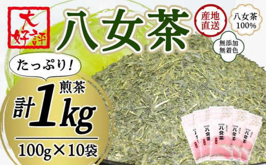 八女茶100% 家庭用業務用煎茶 100g×10袋 お手頃品! 八女茶 煎茶 産地直送 無添加 無着色 たっぷり お手頃 家庭用 業務用 大容量 福岡県 八女市