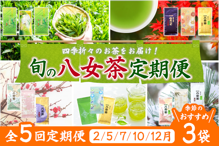 [定期便]八女茶100% 四季折々の上級茶をお届け ≪3袋ずつ 年間5回 ≫ 定期便 八女茶 お茶 茶 新茶 煎茶 福岡県 高級 緑茶 八女市