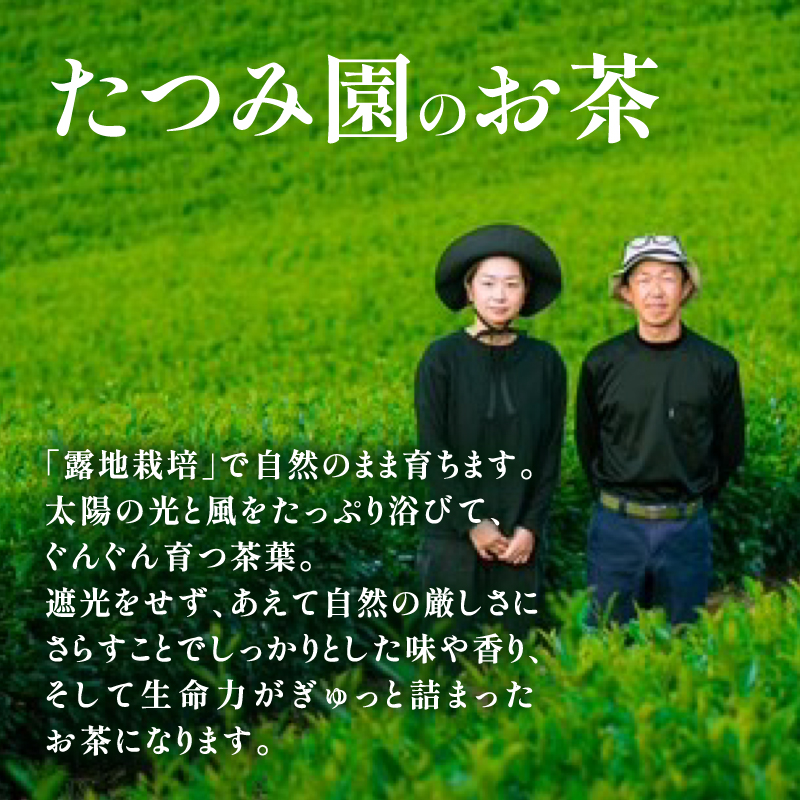 ããã€ã¿åãå
«å¥³è¶ ç
è¶çŽä»ããã£ãŒããã° 3gÃ13å
å
¥ 2åã»ãããã¡ãŒã«äŸ¿ã ãè¶ æè»œ ãã£ãŒããã° çŸå³ãã ç·è¶ ç
è¶ æ°Žåºã ãåãå¯ã ã®ãã çŠå²¡ç å
«å¥³åž ãã¹ãæåœ ç°¡æå
è£
èš³ãã