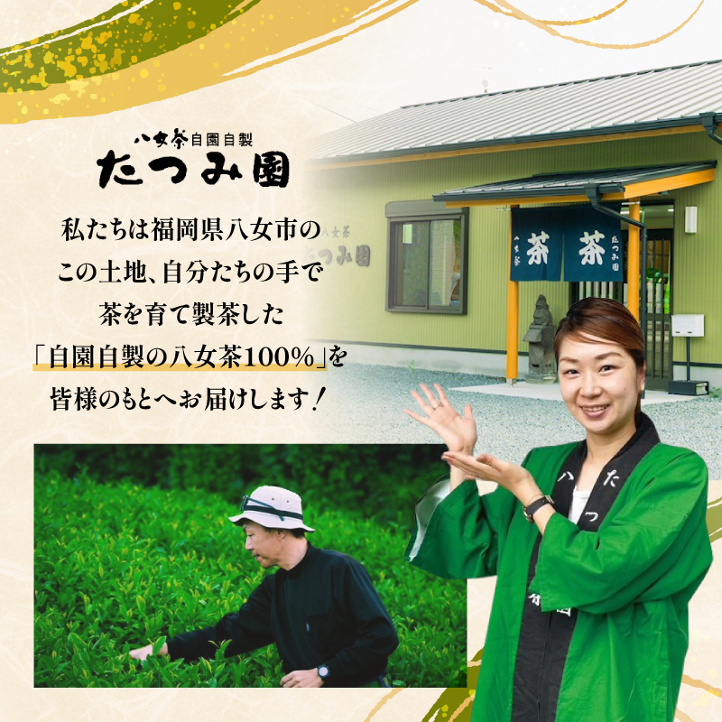 ããã€ã¿åãå
«å¥³è¶ ç
è¶çŽä»ããã£ãŒããã° 3gÃ13å
å
¥ 2åã»ãããã¡ãŒã«äŸ¿ã ãè¶ æè»œ ãã£ãŒããã° çŸå³ãã ç·è¶ ç
è¶ æ°Žåºã ãåãå¯ã ã®ãã çŠå²¡ç å
«å¥³åž ãã¹ãæåœ ç°¡æå
è£
èš³ãã