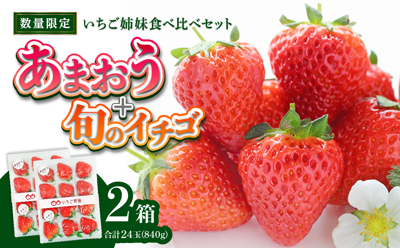 ＜2027年1月～順次発送＞いちご姉妹【あまおう＋旬のイチゴ】食べ比べセット★数量限定★ あまおう いちご 苺 イチゴ フルーツ 果物 くだもの 人気 旬 福岡県産 食べ比べ 採れたて 2品種 セット 冷蔵配送 箱入り 贈答品 プレゼント 贈り物 産地直送 福岡県 八女市