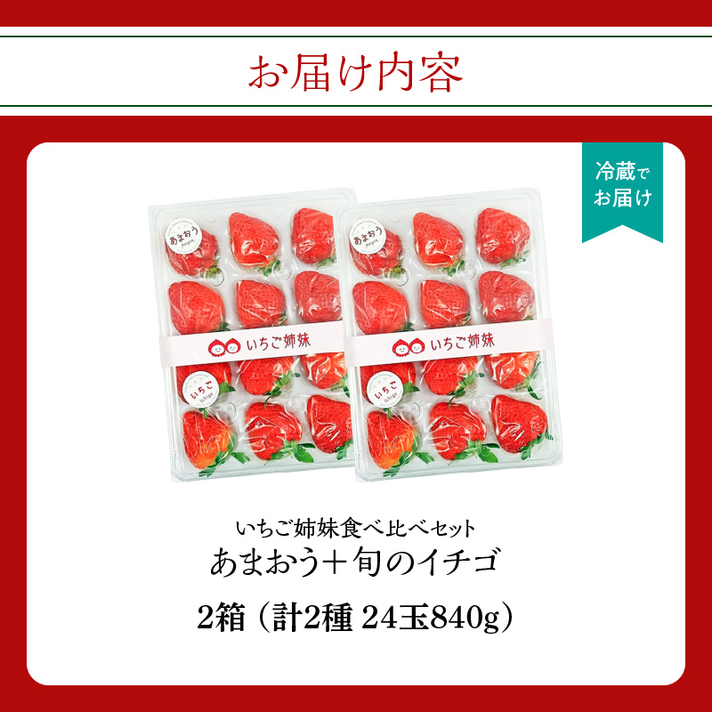 ＜2027年1月～順次発送＞いちご姉妹【あまおう＋旬のイチゴ】食べ比べセット★数量限定★ あまおう いちご 苺 イチゴ フルーツ 果物 くだもの 人気 旬 福岡県産 食べ比べ 採れたて 2品種 セット 冷蔵配送 箱入り 贈答品 プレゼント 贈り物 産地直送 福岡県 八女市