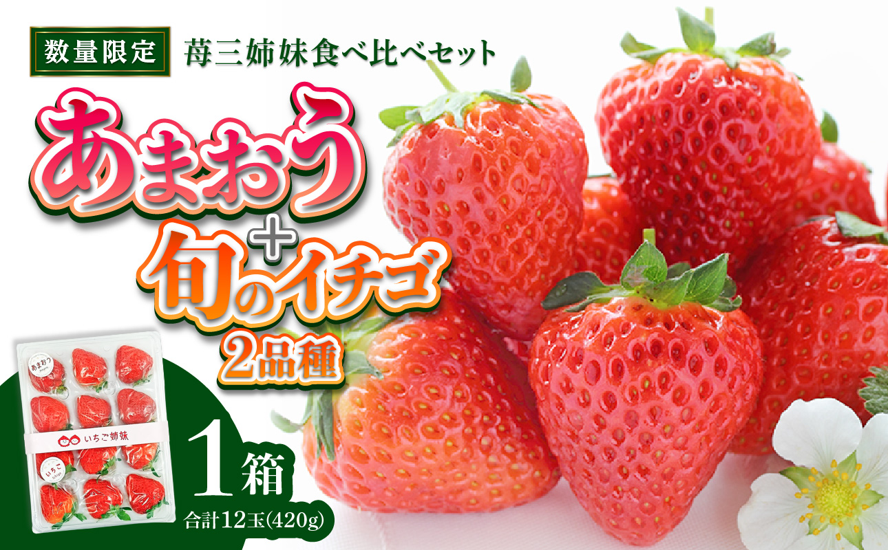 ＜2027年1月～順次発送＞苺三姉妹【あまおう＋旬のイチゴ2品種】食べ比べセット★数量限定★ あまおう いちご 苺 イチゴ フルーツ 果物 くだもの 人気 旬 福岡県産 食べ比べ 採れたて 3品種 セット 冷蔵配送 箱入り 贈答品 プレゼント 贈り物 産地直送 福岡県 八女市